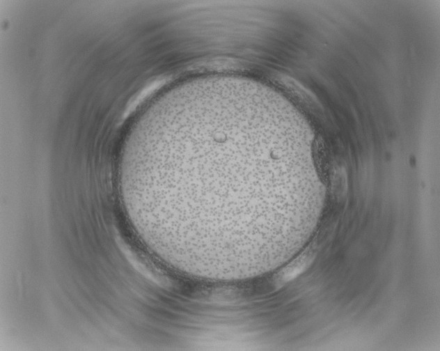 X0000061720158200512302129