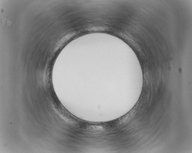 X0000061720159200512302129