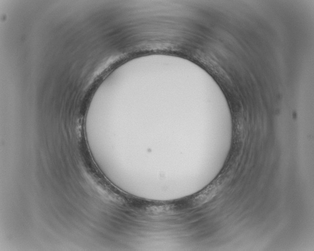 X0000061720160200512302129