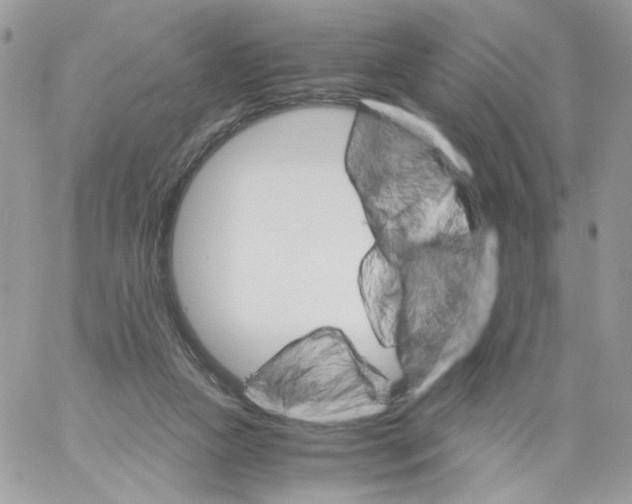 X0000061720161200512302129