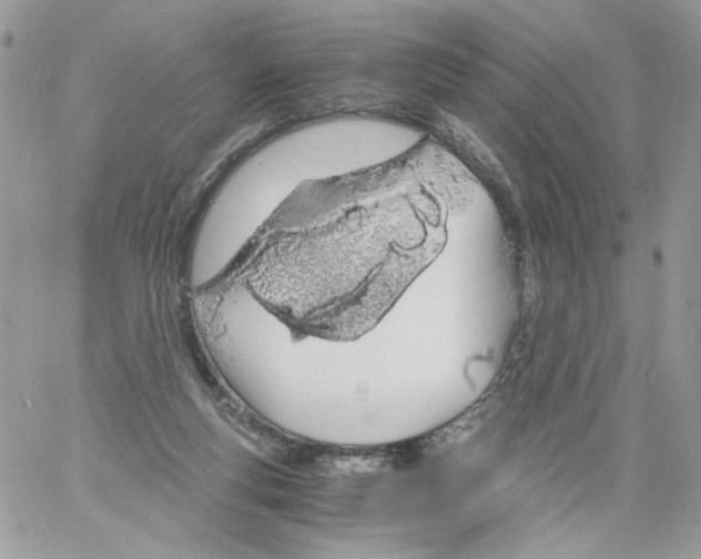 X0000061720163200512302129