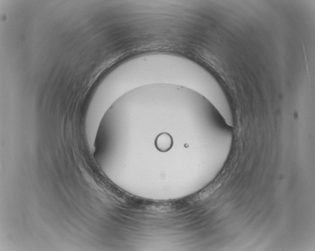 X0000061720164200512302129