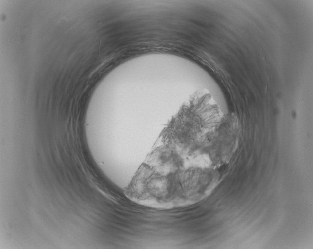 X0000061720165200512302129