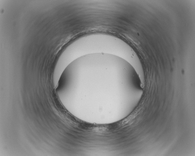 X0000061720168200512302129