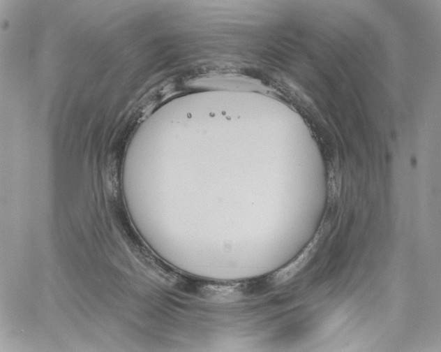 X0000061720170200512302129