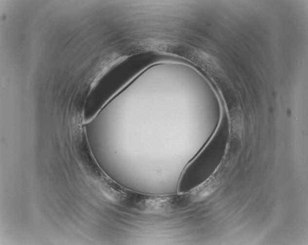 X0000061720172200512302129