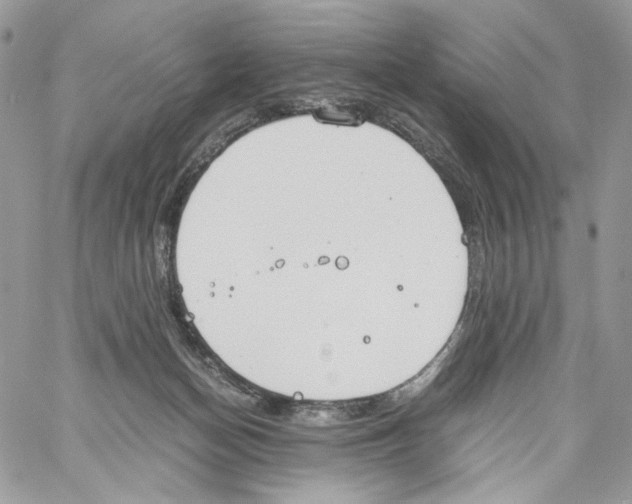 X0000061720174200512302129