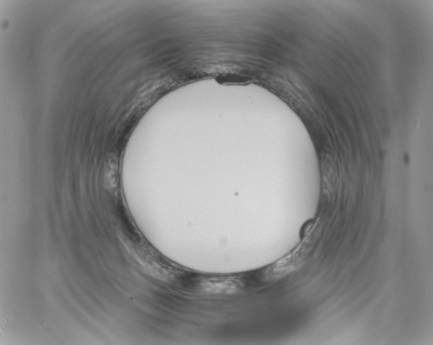 X0000061720175200512302129