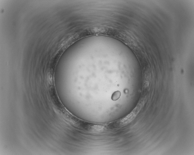 X0000061720176200512302129