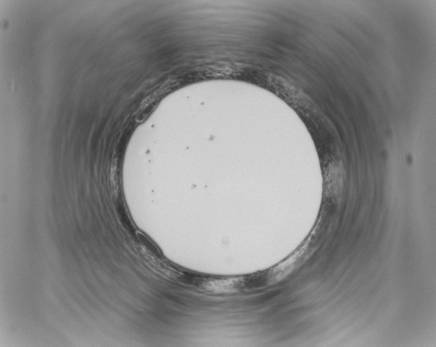 X0000061720178200512302129