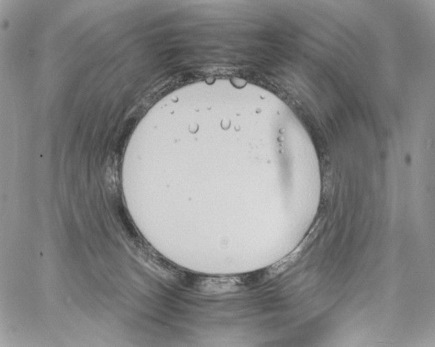 X0000061720179200512302129