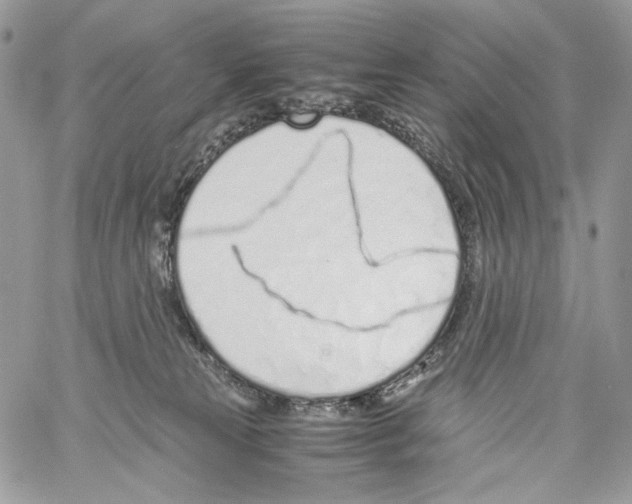 X0000061720181200512302129