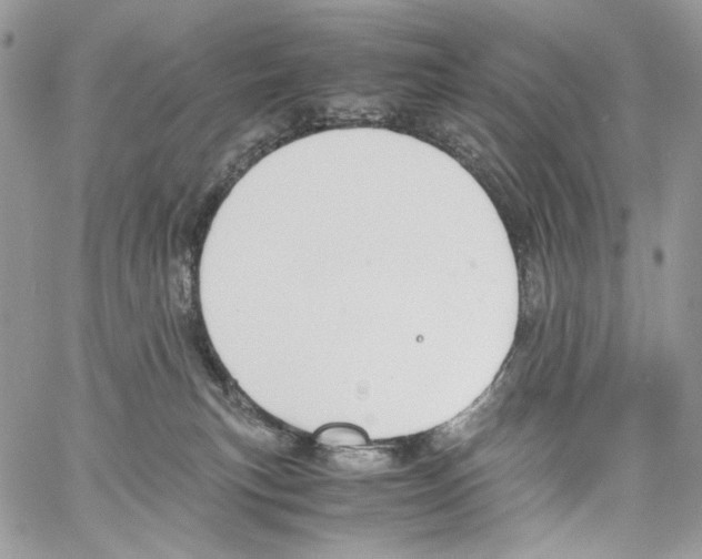 X0000061720183200512302129