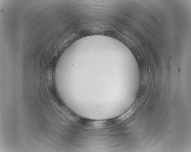 X0000061720184200512302129