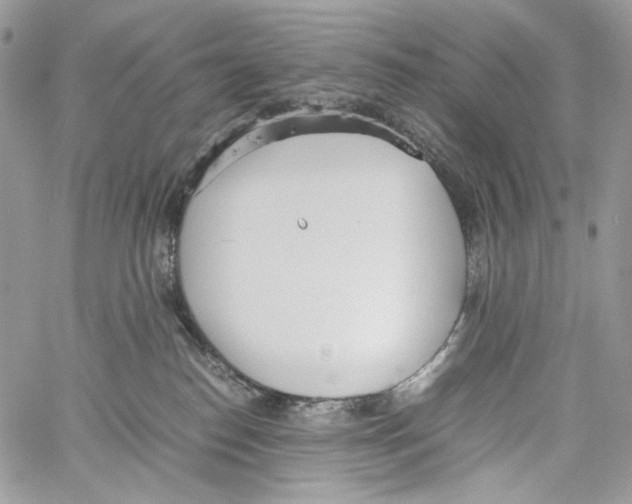 X0000061720186200512302129