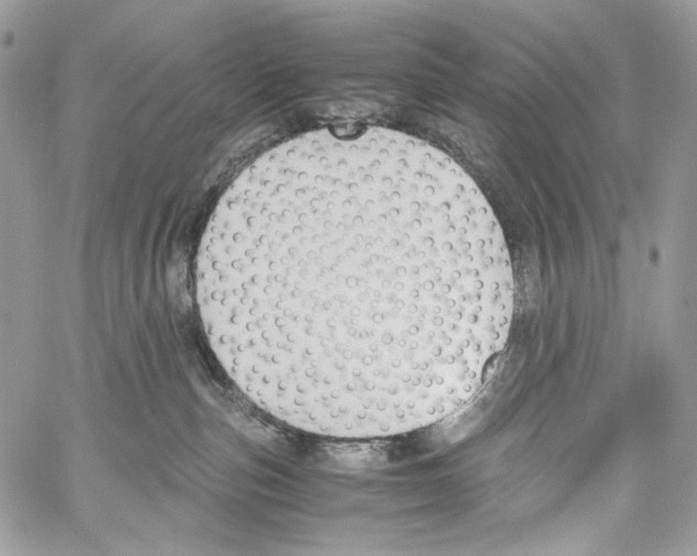 X0000061720187200512302129