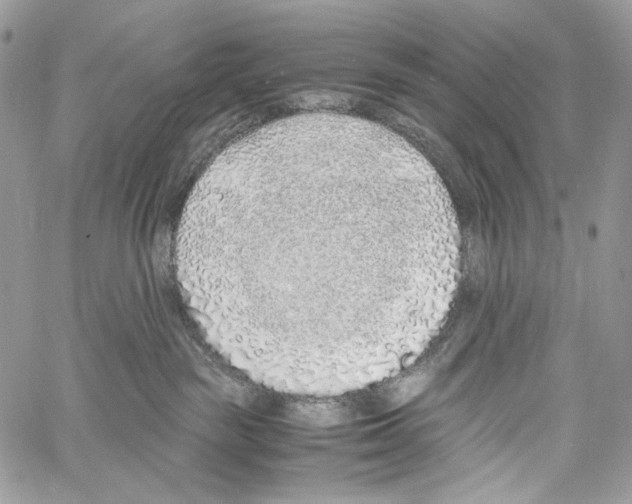 X0000061720189200512302129