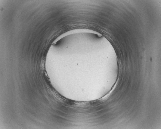 X0000061720190200512302129