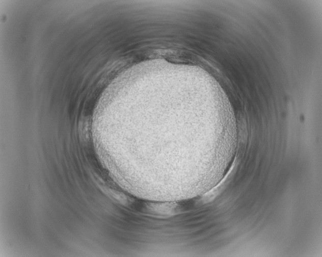 X0000061720191200512302129