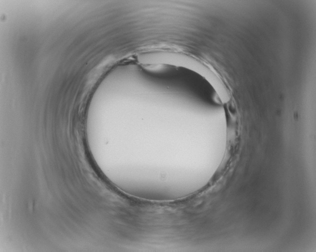 X0000061720193200512302129