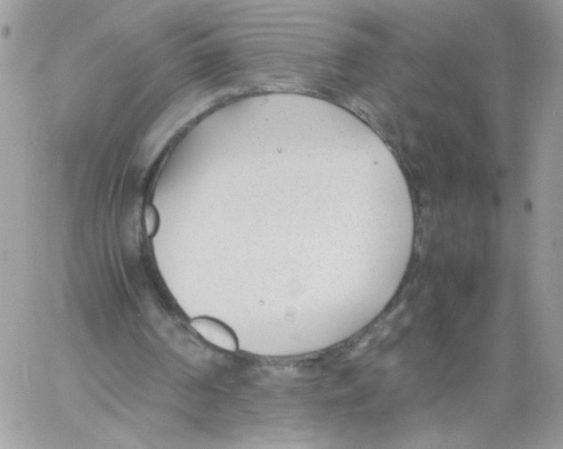 X0000061720194200512302129