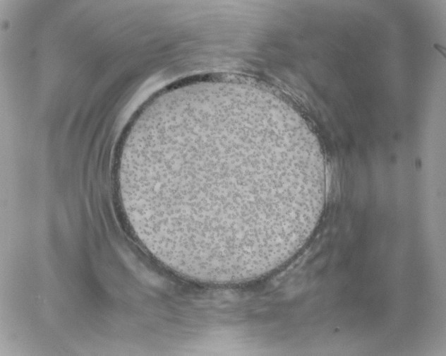 X0000061720195200512302128