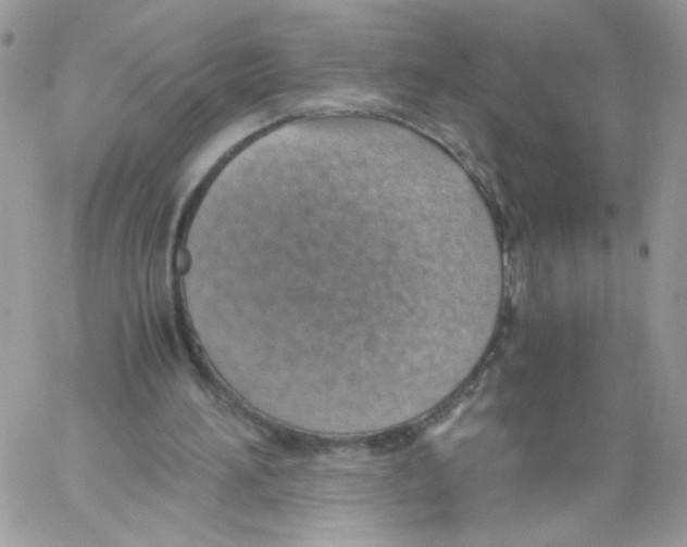 X0000061720196200512302128