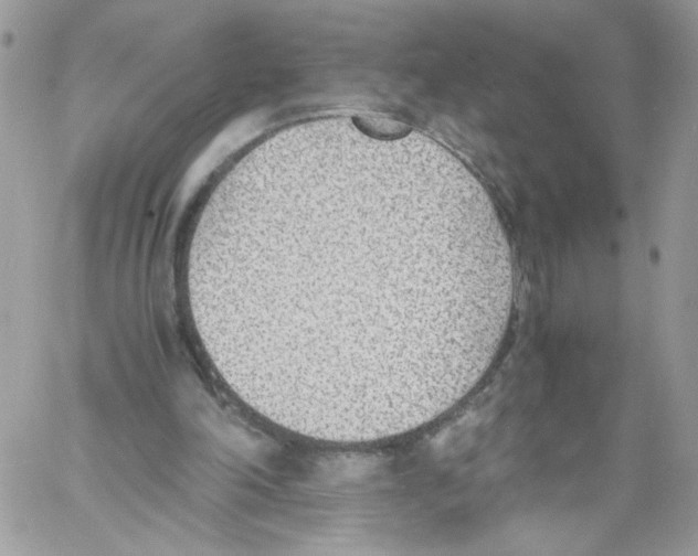 X0000061720198200512302128