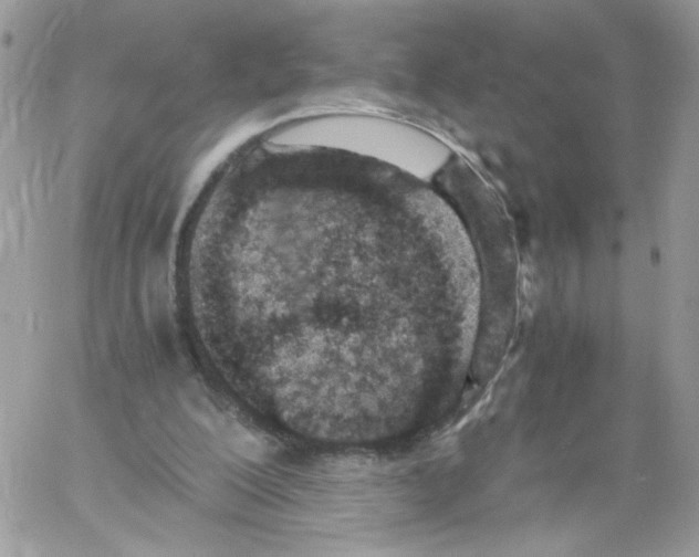 X0000061720200200512302128