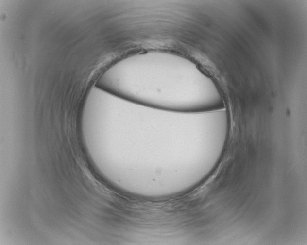 X0000061720201200512302128