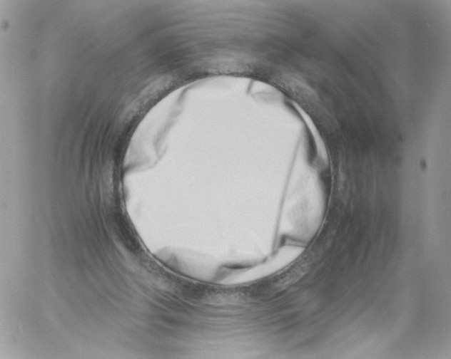 X0000061720202200512302128