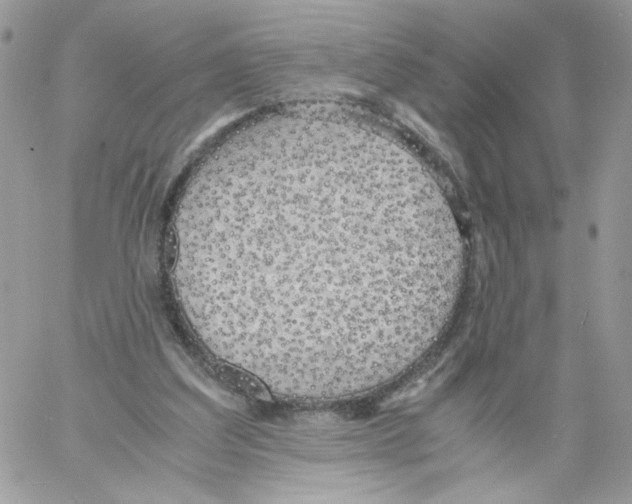 X0000061720203200512302128