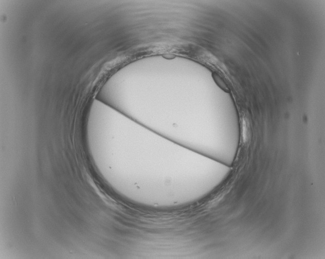 X0000061720205200512302128