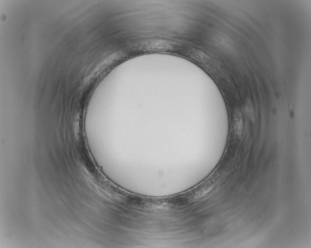 X0000061720206200512302128