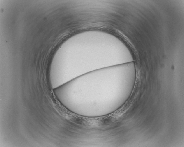 X0000061720209200512302128