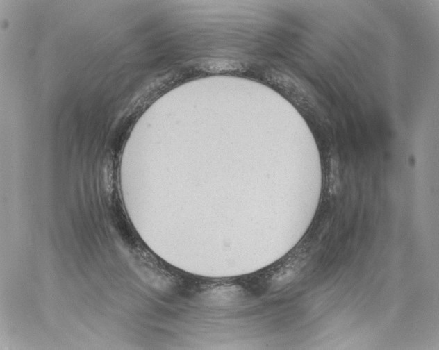 X0000061720210200512302128