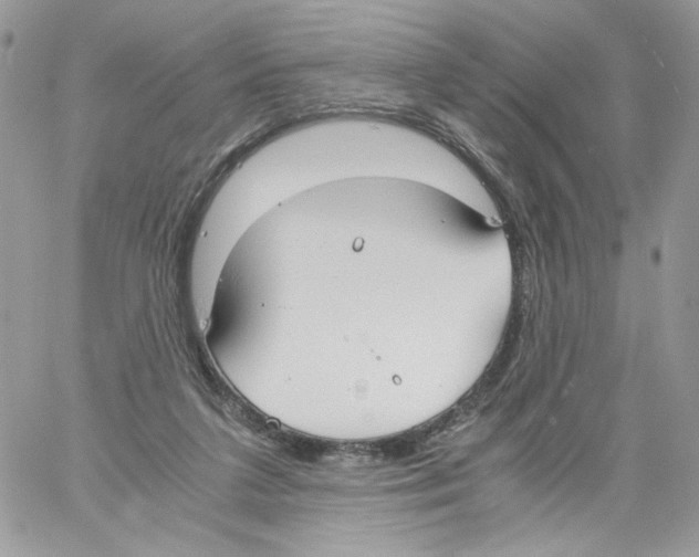 X0000061720211200512302128