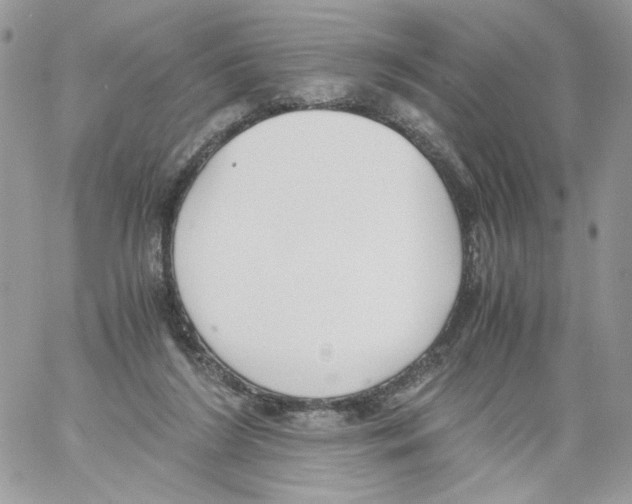 X0000061720212200512302128