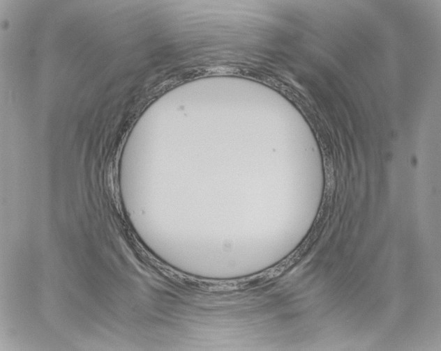 X0000061720213200512302128