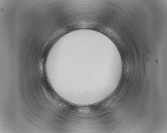 X0000061720214200512302128