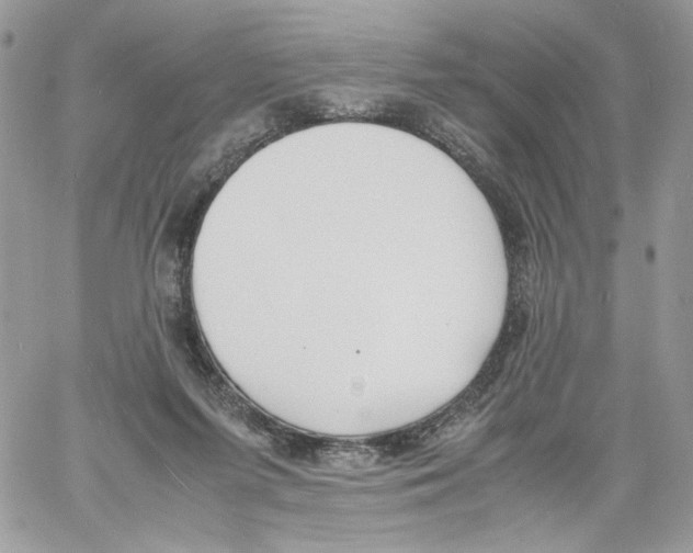 X0000061720215200512302128