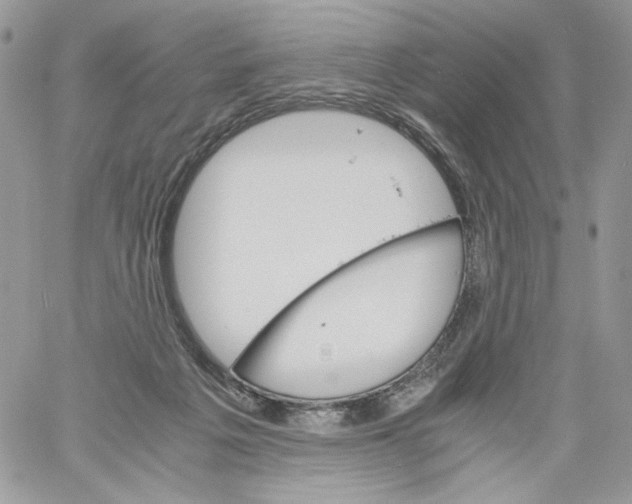 X0000061720217200512302128