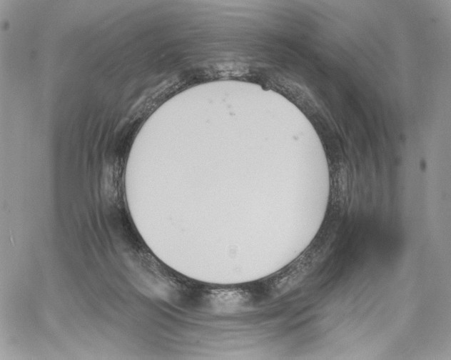 X0000061720218200512302128