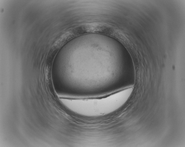 X0000061720219200512302128