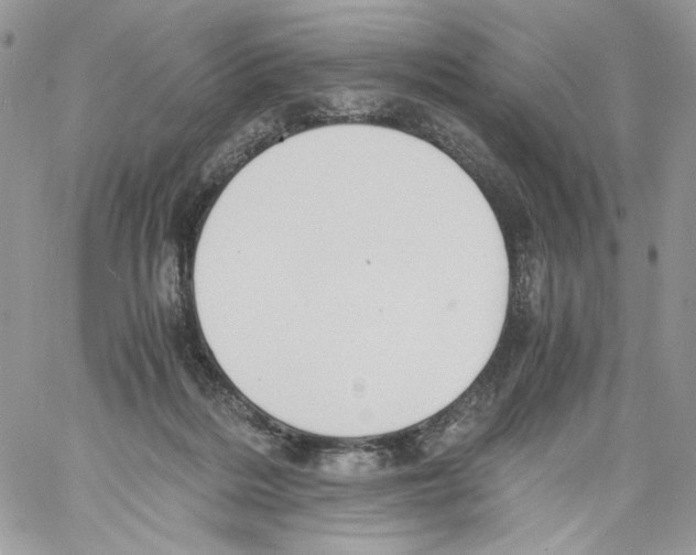 X0000061720220200512302128