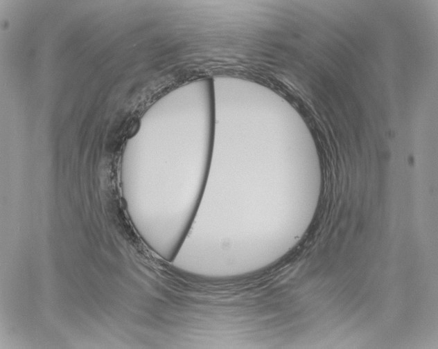 X0000061720221200512302128