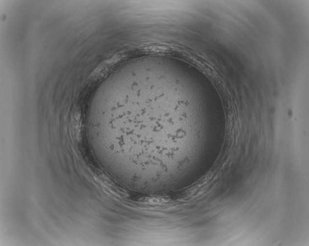 X0000061720223200512302128