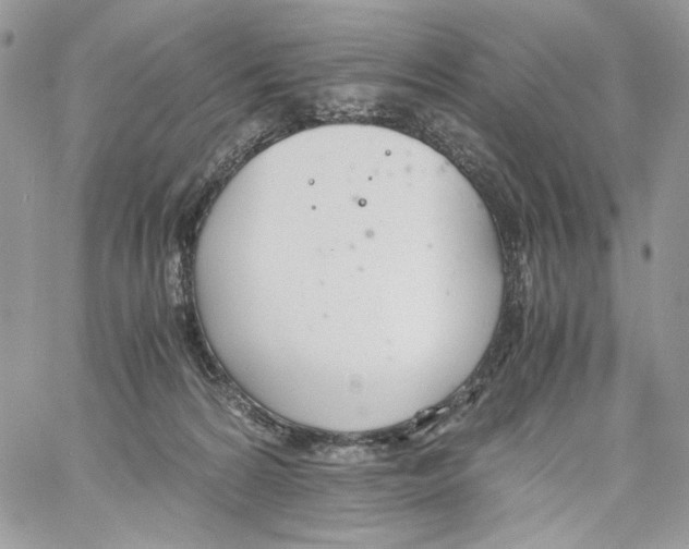 X0000061720224200512302128