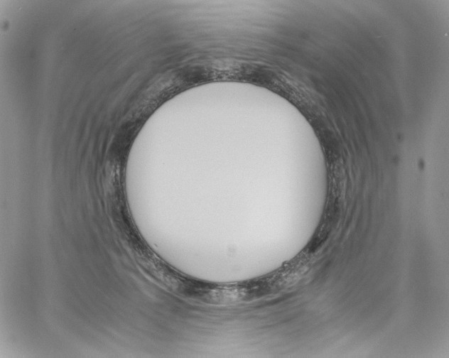 X0000061720225200512302128