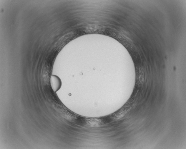 X0000061720226200512302128